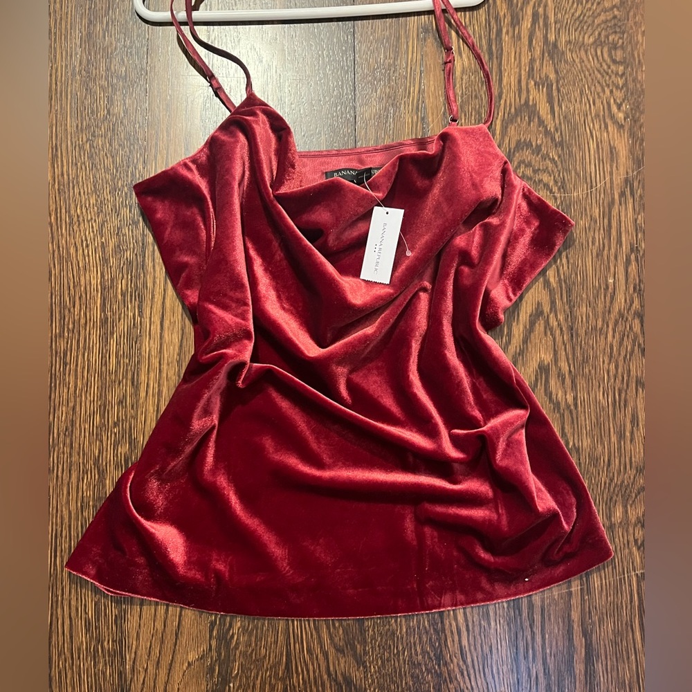 Banana Republic Rita Velvet Top